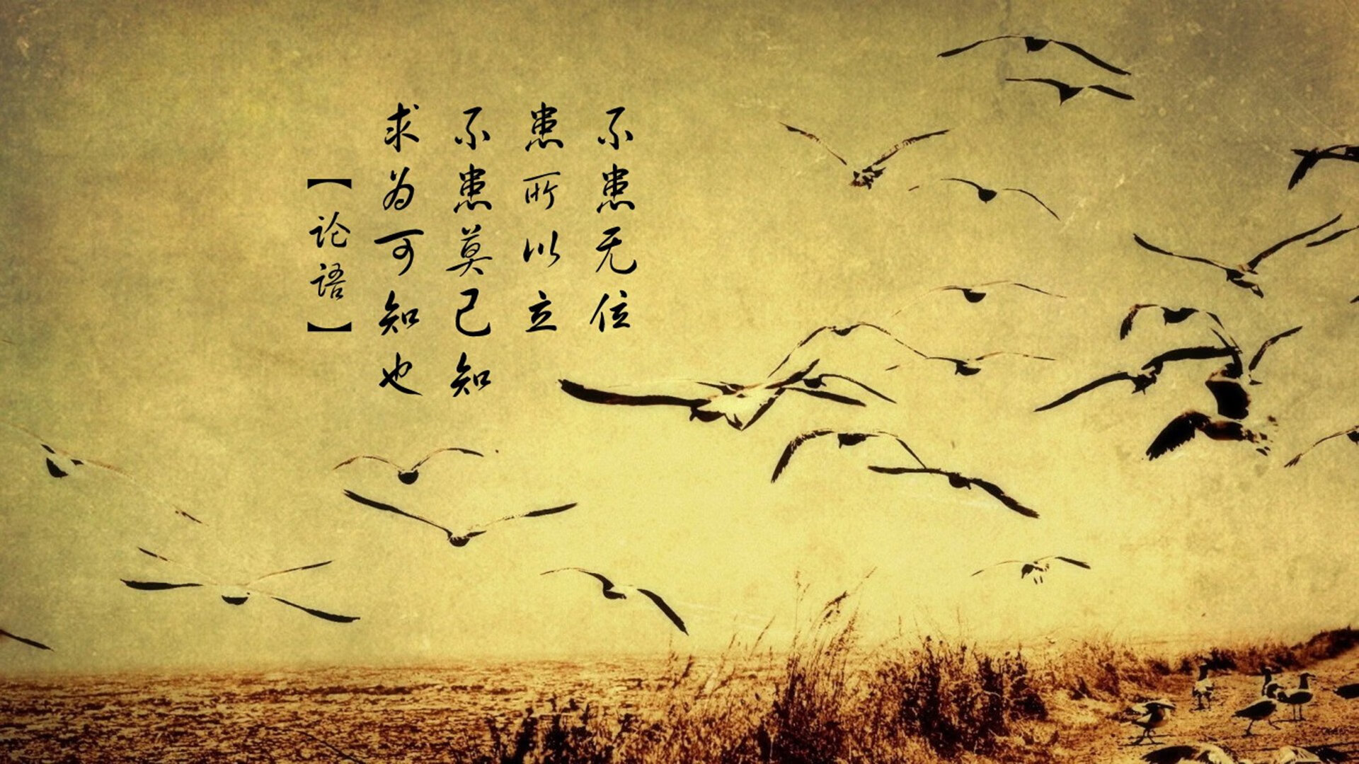 九游sports-_城市高架自行车赛：穿越天际线的速度之战_，天际线建造了自行车道有用吗