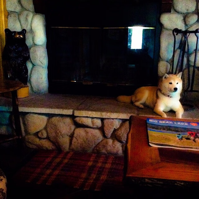 九游娱乐(jiuyou)官网-全市马拉松志愿者争霸赛，团队合作的力量，马拉松志愿者竞赛组是干什么的